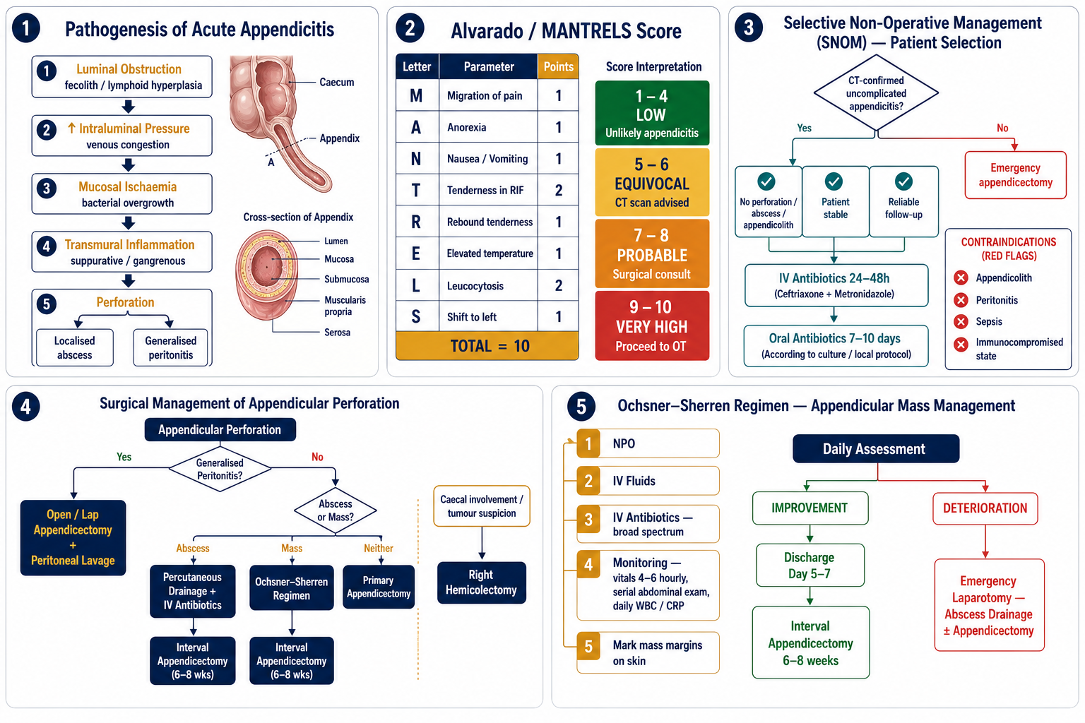 Appendix topic overview diagrams &mdash; pathogenesis, Alvarado score, SNOM, perforation algorithm and Ochsner-Sherren regimen